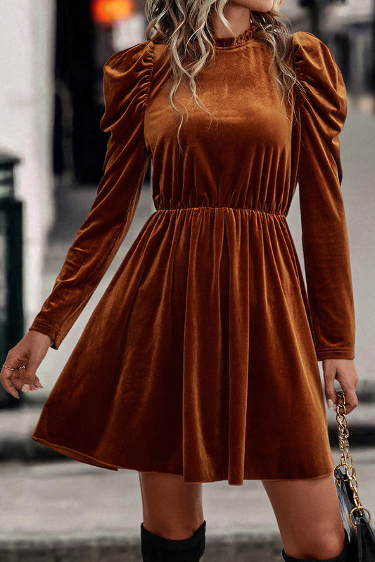 Velvet Frilled Neck Swing Dress